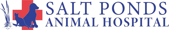 Salt Ponds Animal Hospital Picture 10