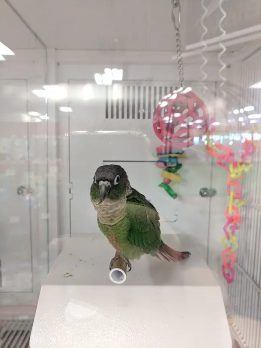 Petco Picture 6