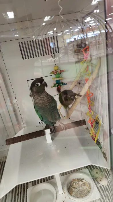 Petco Picture 7
