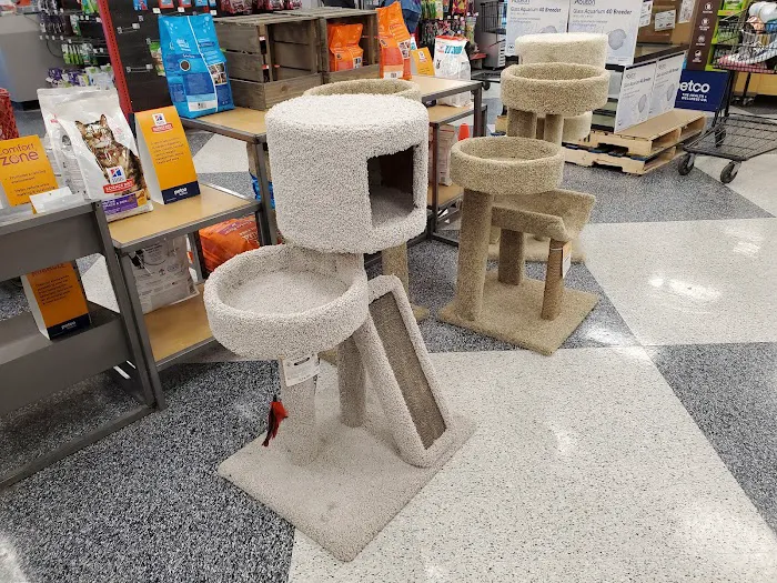 Petco Picture 5