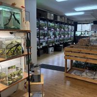 PNW Bettas ico