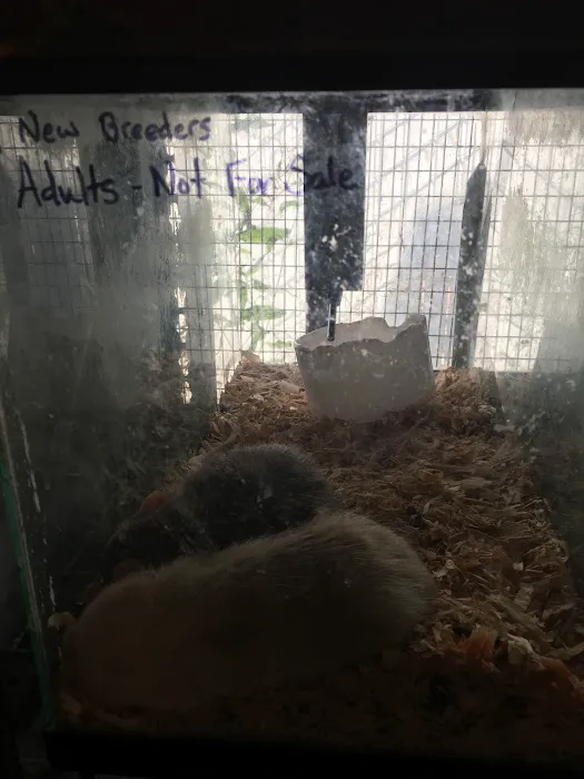 Animal House Picture 3