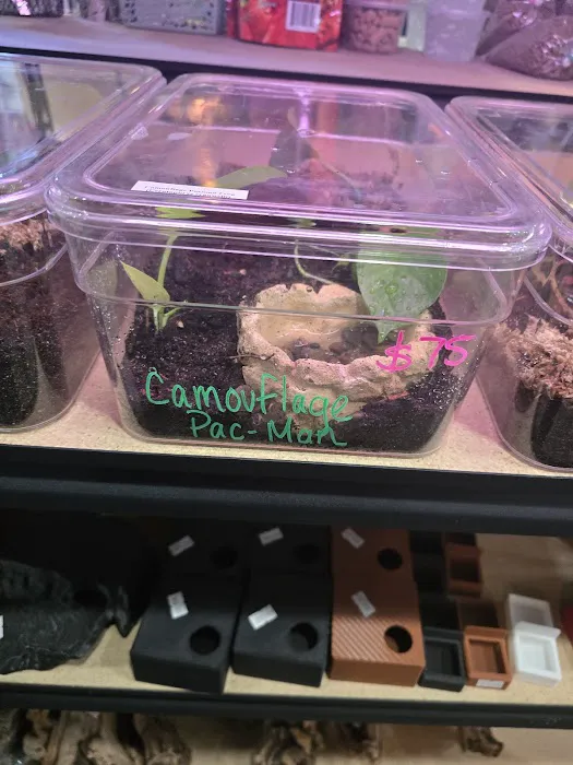 Ramsdell's Reptile Room LLC Picture 4