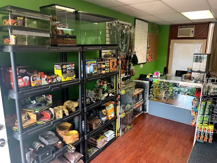 Ramsdell's Reptile Room LLC Picture 8