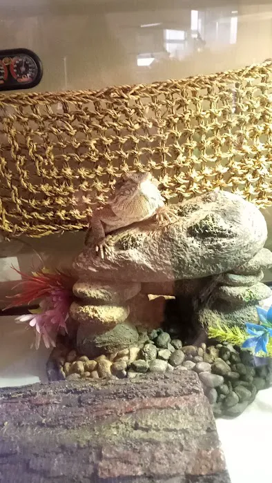 Ramsdell's Reptile Room LLC Picture 1
