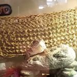 Ramsdell's Reptile Room LLC