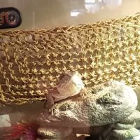 Ramsdell's Reptile Room LLC ico