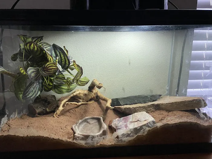 Ramsdell's Reptile Room LLC Picture 2