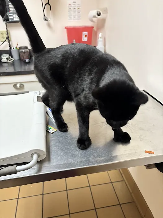 West Greenwich Animal Hospital Picture 3