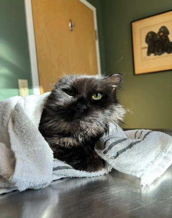 West Greenwich Animal Hospital Picture 10