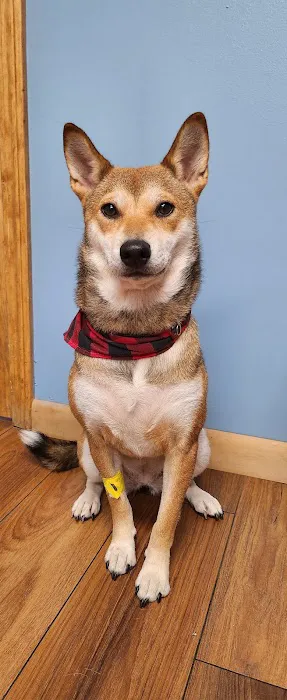 Foster Veterinary Clinic Picture 3