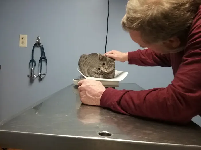 Foster Veterinary Clinic Picture 1