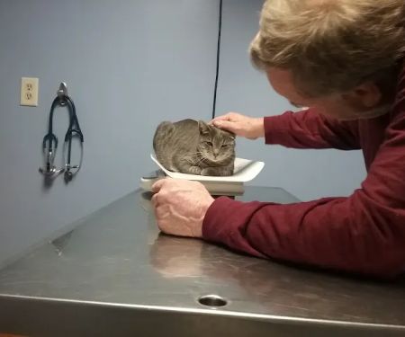Foster Veterinary Clinic