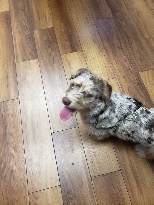 Foster Veterinary Clinic Picture 6