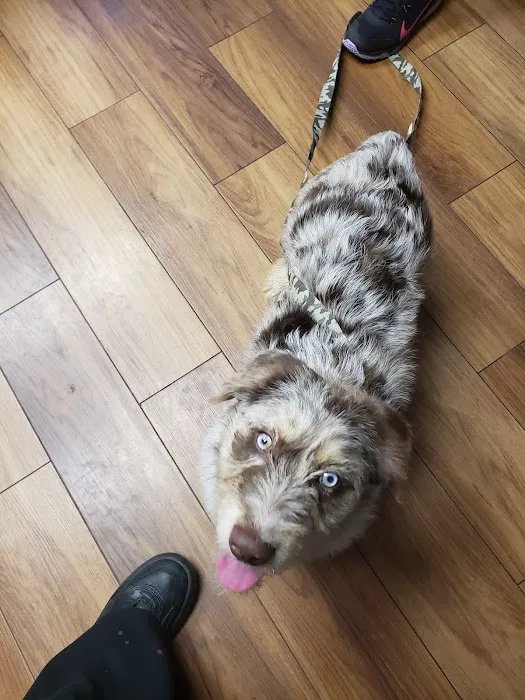 Foster Veterinary Clinic Picture 4