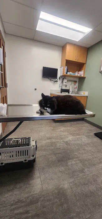 VCA Palmer Animal Hospital Picture 1