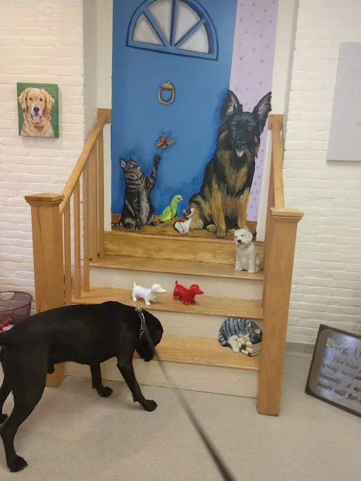 Belchertown Veterinary Hospital Picture 5