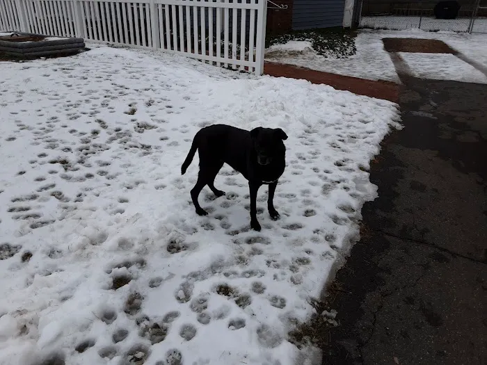 Belchertown Veterinary Hospital Picture 6