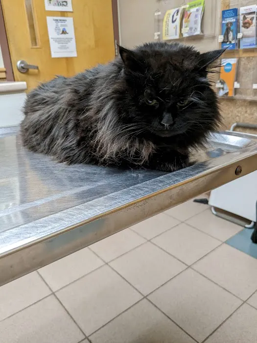 Valley Veterinary Hospital Picture 1