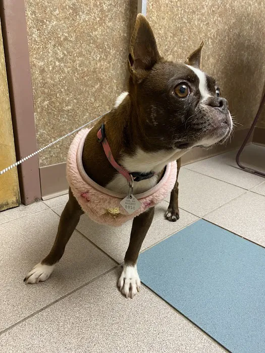 Valley Veterinary Hospital Picture 7