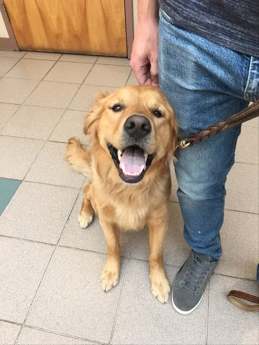 Valley Veterinary Hospital Picture 8