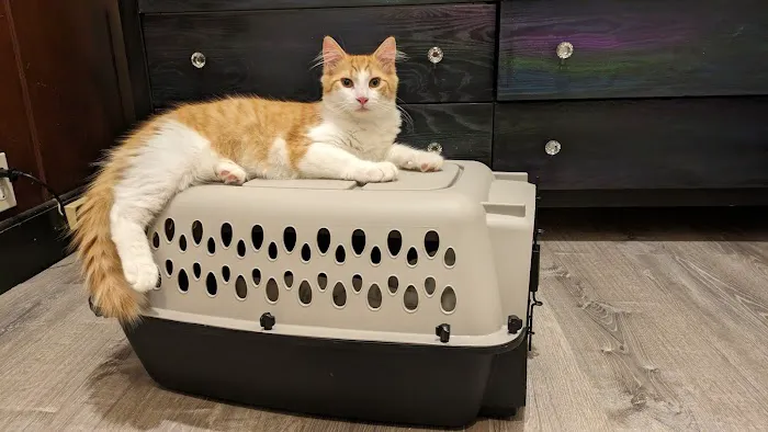 Valley Veterinary Hospital Picture 2