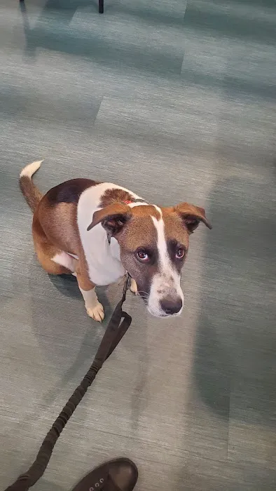 Landau Veterinary Services Picture 5