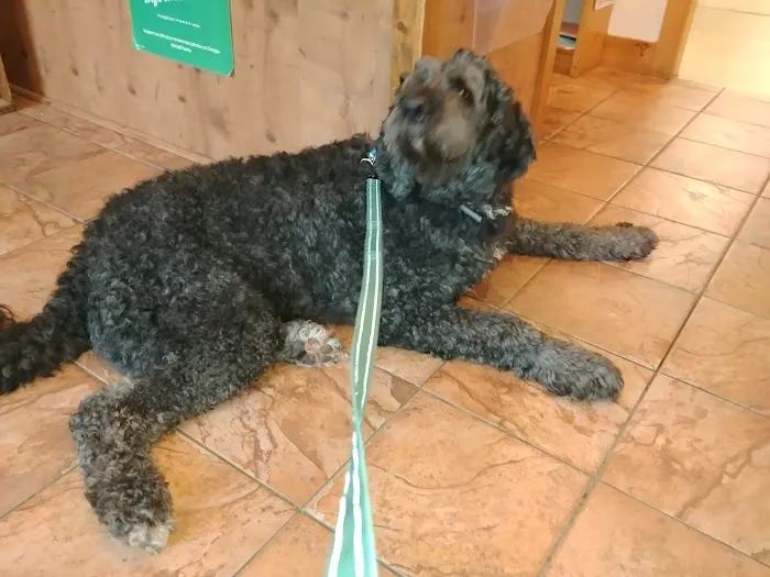 Westbrook Veterinary Hospital Picture 4