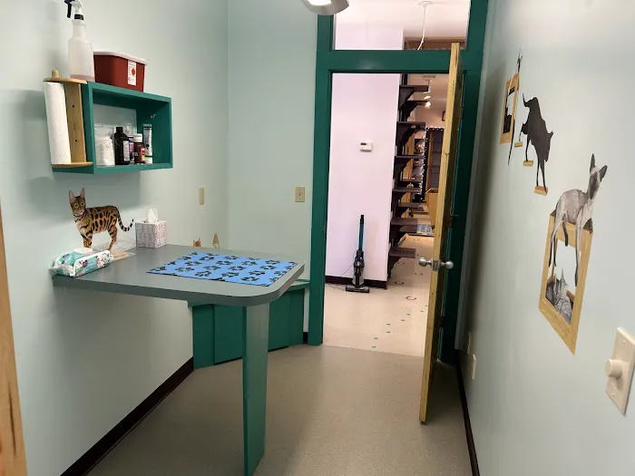 Williamsburg Animal Clinic Picture 2