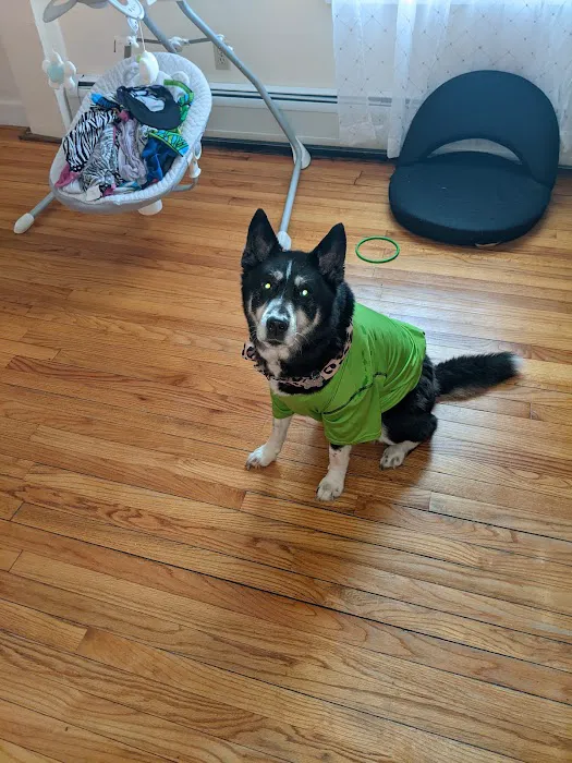 Williamsburg Animal Clinic Picture 7