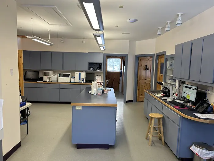 Williamsburg Animal Clinic Picture 6