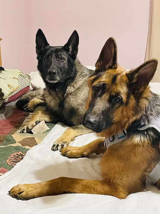 Family Veterinary Center Picture 6