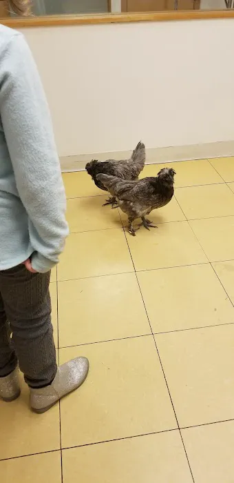 Hampshire Veterinary Hospital Picture 2