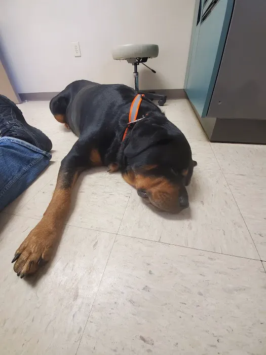 Animal Health Care Center Picture 8