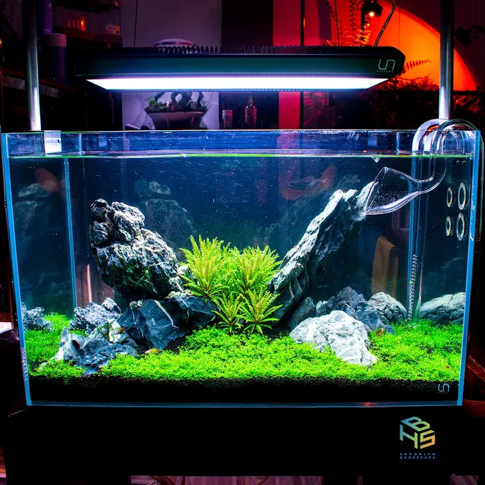 Brooklyn Hardscape Picture 10
