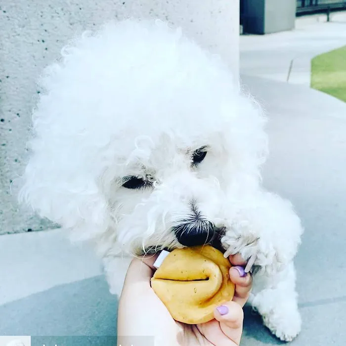 The Seattle Barkery Picture 7