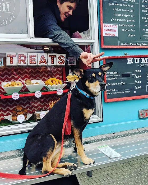 The Seattle Barkery Picture 8
