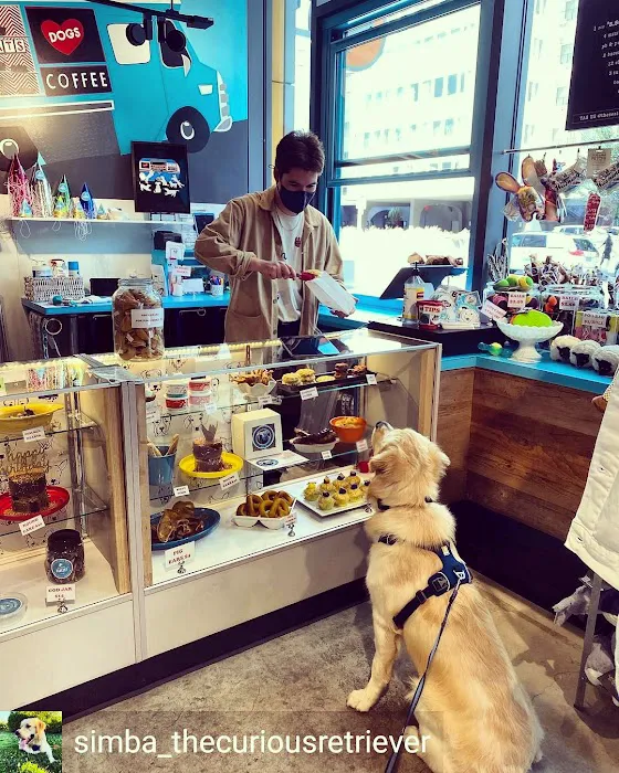 The Seattle Barkery Picture 6