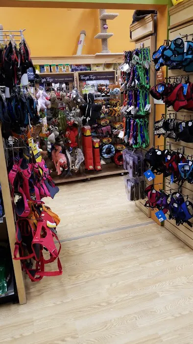 All The Best Pet Care - Madison Picture 7