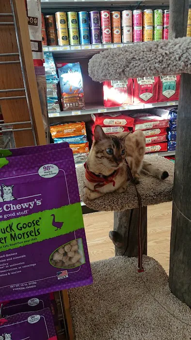 All The Best Pet Care - Madison Picture 6