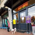 All The Best Pet Care - Madison