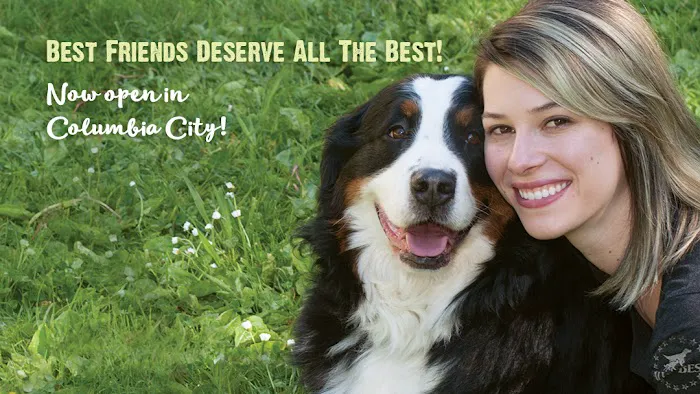All The Best Pet Care - Madison Picture 10