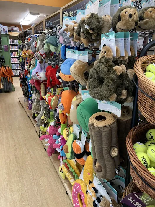 All The Best Pet Care - Queen Anne Picture 2