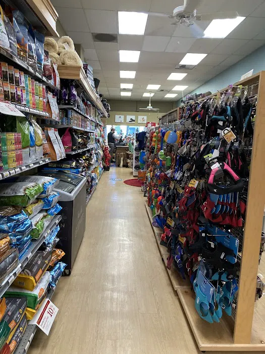 All The Best Pet Care - Queen Anne Picture 4