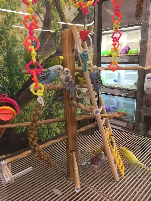 Petco Picture 3