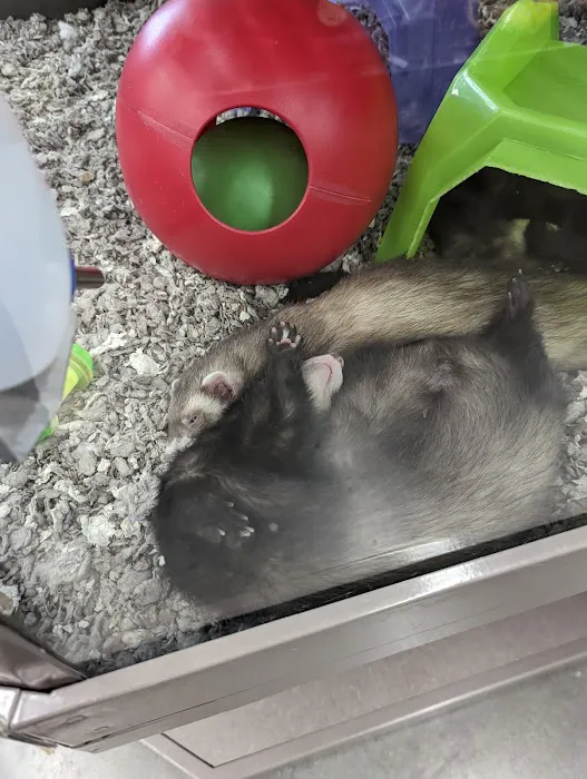 Petco Picture 2