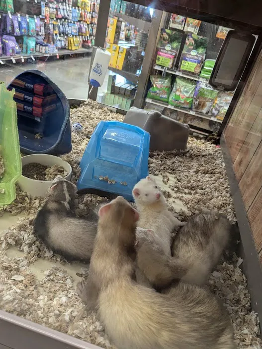 Petco Picture 9