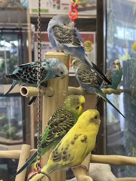 Petco Picture 5