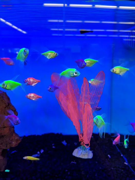 Petco Picture 4