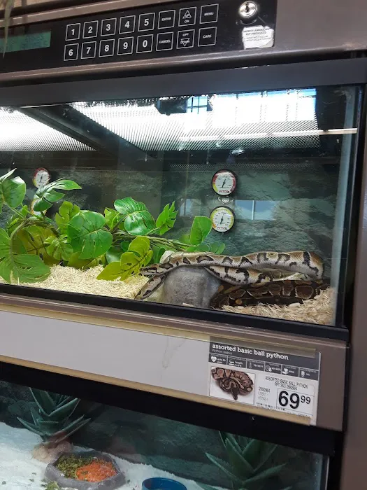 Petco Picture 8